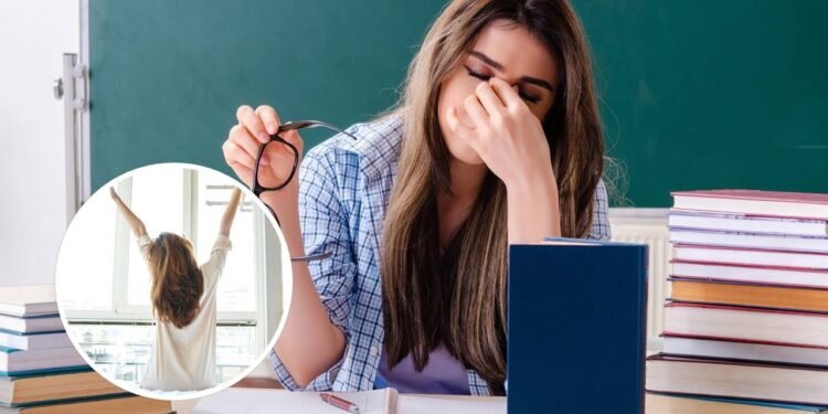 O que aconteceu quando ela trocou a sala de aula pelo home office surpreende - Créditos: depositphotos.com / Elnur_ / Créditos: depositphotos.com / nesharm