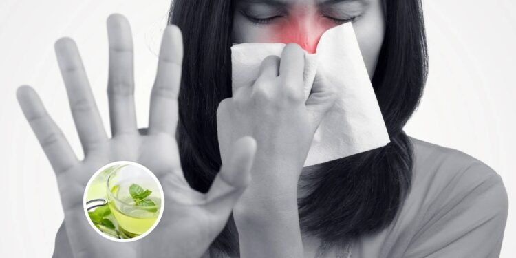 3 chás naturais poderosos que abrem o nariz e aliviam a congestão na hora