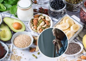 Especialista destaca a importância do magnésio para retardar o envelhecimento, “Quando há falta de magnésio, os sinais inflamatórios aumentam”