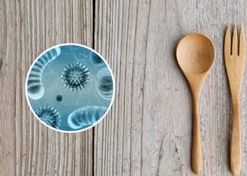 Colheres de pau acumulam bactérias e você provavelmente não limpa direito