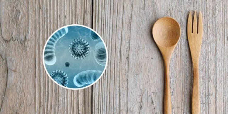 Colheres de pau acumulam bactérias e você provavelmente não limpa direito