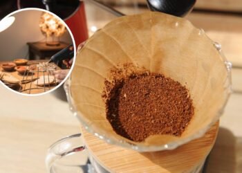 Não jogue fora os filtros de café usado, dê uma segunda vida a esse material e transforme nessa ideia maravilhosa