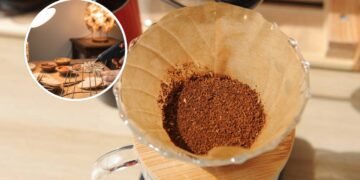 Não jogue fora os filtros de café usado, dê uma segunda vida a esse material e transforme nessa ideia maravilhosa