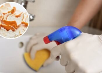 Depois que aprendi a reaproveitar cascas de frutas, nunca mais comprei desinfetante