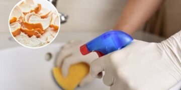 Depois que aprendi a reaproveitar cascas de frutas, nunca mais comprei desinfetante