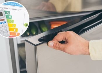 O jeito certo de ajustar sua geladeira no verão para não gastar demais