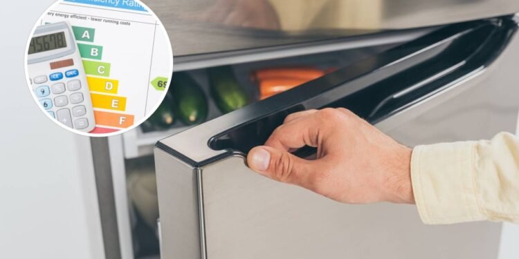 O jeito certo de ajustar sua geladeira no verão para não gastar demais