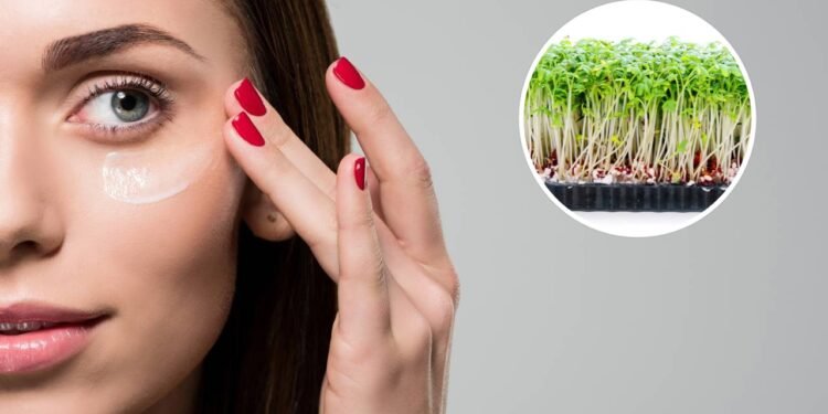 Sem tempo pra cuidar da pele? Esse ingrediente faz isso por você e ainda é fácil de plantar