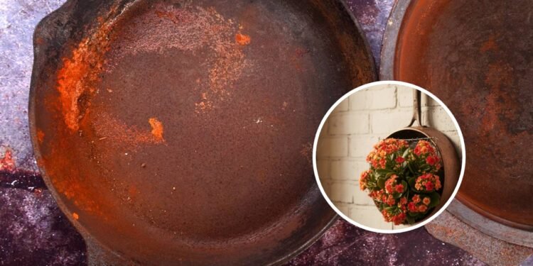 O jeito mais carinhoso de dar nova vida a uma frigideira antiga - Créditos: depositphotos.com / dailajphoto