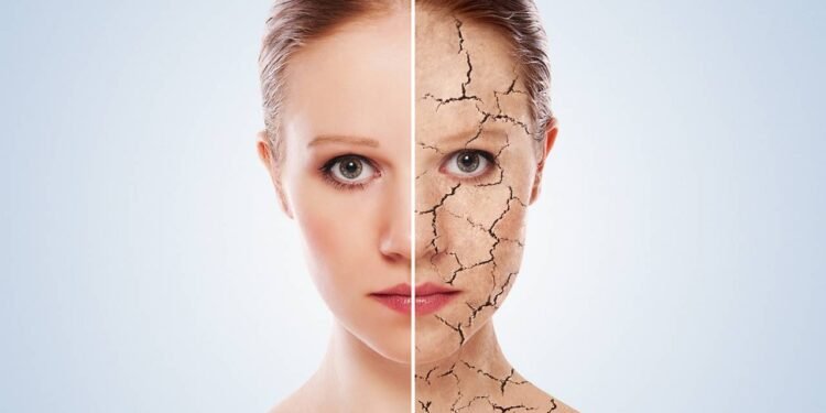 Manter a pele hidratada é fundamental para a saúde e a aparência - Créditos: depositphotos.com / evgenyataman