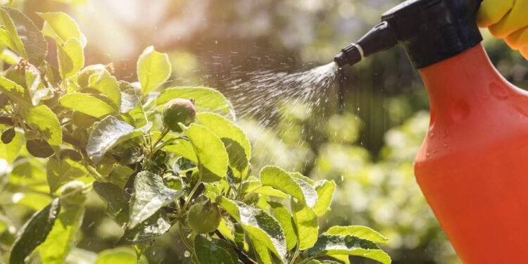 Pesticidas naturais não são 100% saudáveis e exigem cuidado