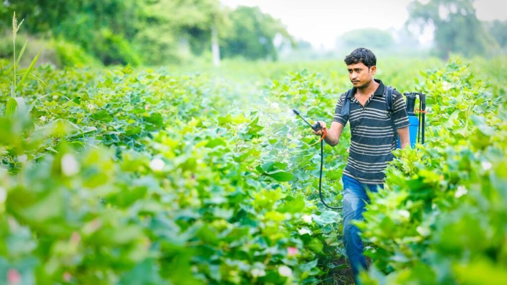 Pesticidas naturais não são 100% saudáveis e exigem cuidado