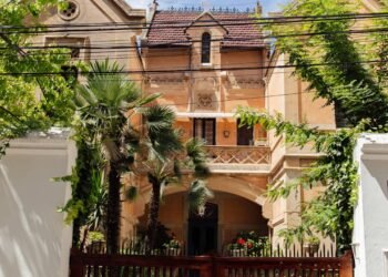 Dicas de plantas para fachadas bonitas e fáceis de cuidar em novembro