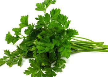 Cólica menstrual? A salsa pode ser uma grande aliada no alívio das dores