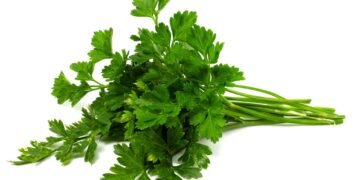 Cólica menstrual? A salsa pode ser uma grande aliada no alívio das dores