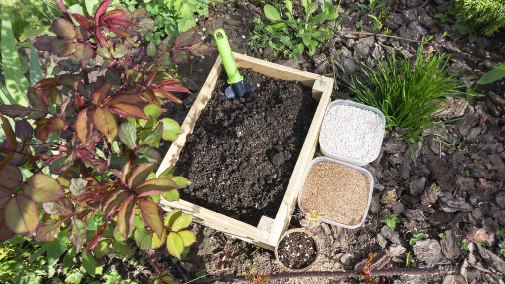 Como transformar folhas secas em adubo orgânico para fortalecer suas plantas