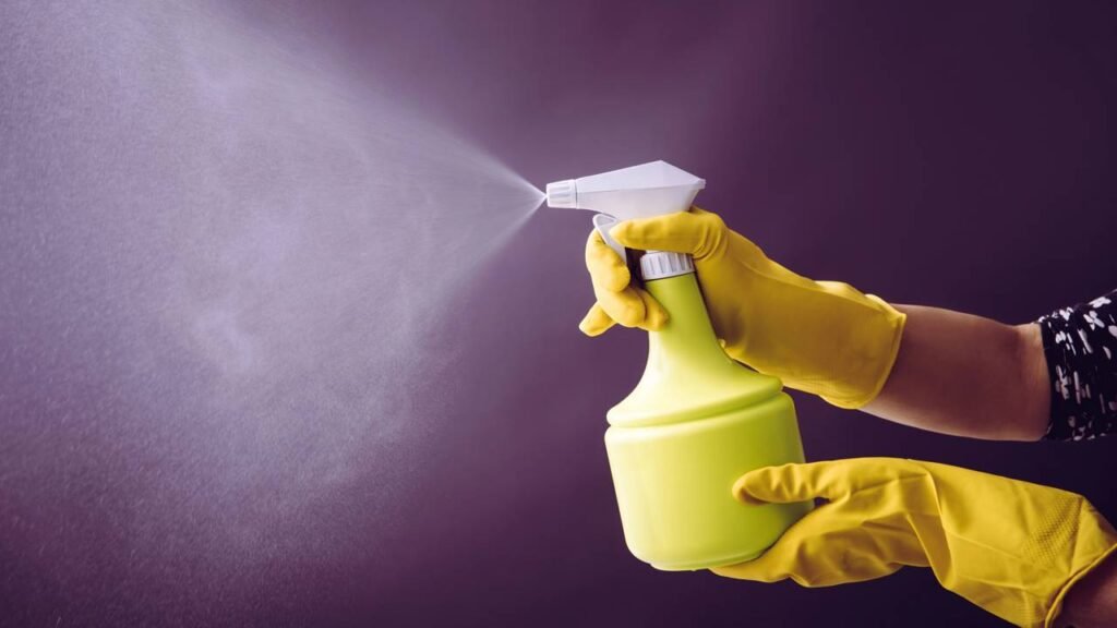 Como afastar formigas dos vasos com um borrifador natural e barato