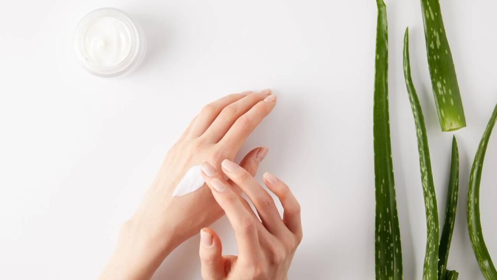 Planta resistente que alivia irritações e cresce onde você menos espera