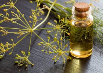 A solução natural que alivia o inchaço e elimina gases após as refeições