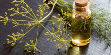 A solução natural que alivia o inchaço e elimina gases após as refeições