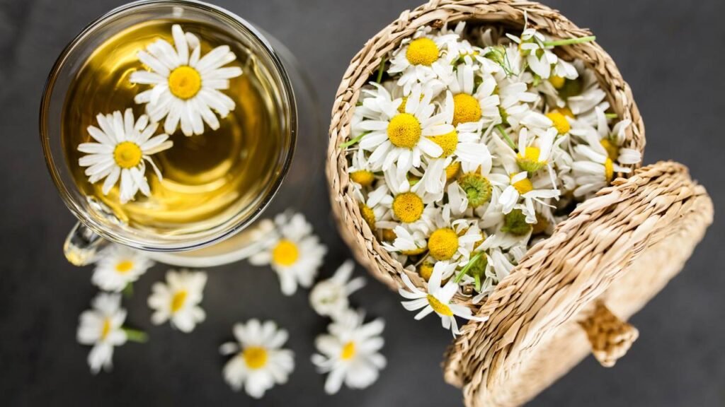 TPM pegando pesado? Essa erva alivia cólicas, melhora o humor e ainda por ser plantada em casa