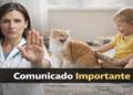 Famílias apostam cada vez mais na companhia dos gatos