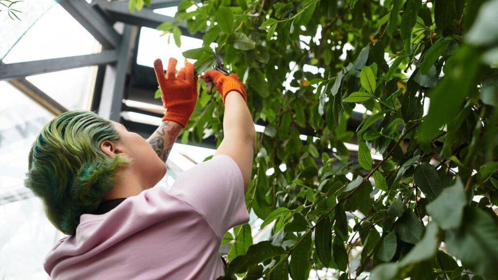 As 3 plantas que mais hidratam o ar da sua casa e funcionam como umidificador natural