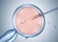 Quando a fertilização in vitro se torna a melhor opção