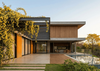 Rosa trepadeira em vaso dá certo? Saiba como cobrir muros pequenos agora