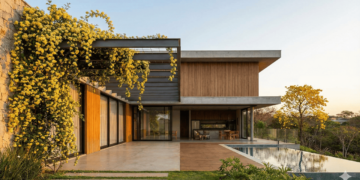 Rosa trepadeira em vaso dá certo? Saiba como cobrir muros pequenos agora