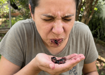 Engolir ou cuspir? Saiba o jeito de comer que potencializa os nutrientes