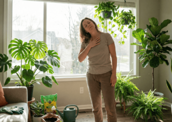 Plantas que purificam o ar e deixam sua casa mais leve e aconchegante