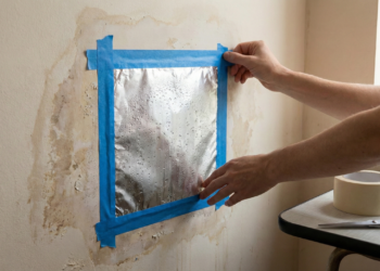 Esse teste simples pode explicar a umidade da sua casa