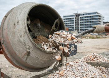 O segredo sustentável escondido nas conchas do mar