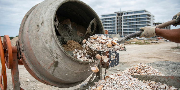 O segredo sustentável escondido nas conchas do mar