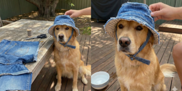 Não jogue fora o seu jeans velho, faça esse chapéu de verão para o seu cachorro