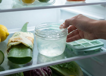 O truque da geladeira com babosa que melhora os resultados