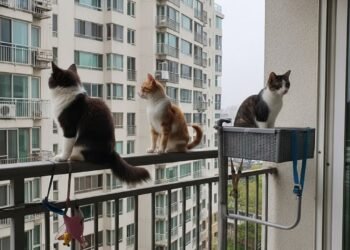 A legislação de proteção animal confirma: é proibido manter cães ou gatos permanentemente em terraços ou varandas