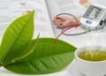 Estudos revelam que o chá-verde pode reduzir a pressão, mas exige cuidado na dose