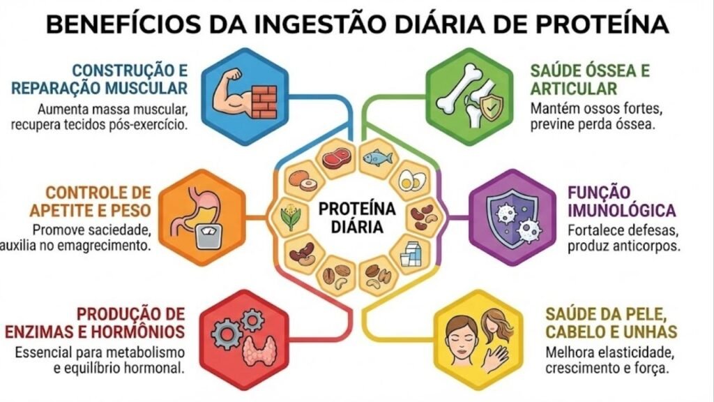 Proteína não é só para músculo: veja como e quando comer para mais saciedade, energia e saúde