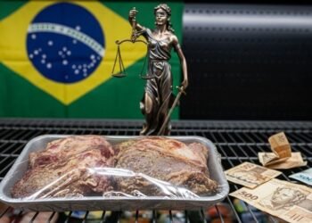 Justiça confirma condenação: supermercado terá de pagar R$ 418,55 e indenizar consumidor em R$ 800,00 após vender 14 kg de carne estragada