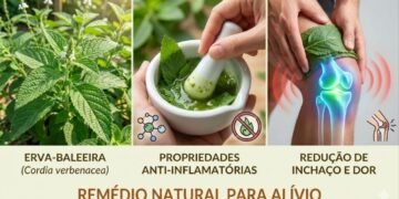 Essa folha brasileira é usada há gerações para aliviar dores e inchaços do corpo e cresce fácil em casa