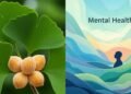 Ginkgo biloba: por que essa planta virou aliada da saúde mental