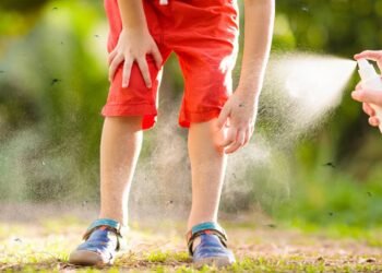 O cheiro natural mais poderoso para afastar mosquitos nas noites quentes