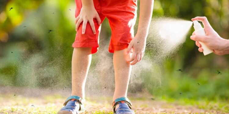 O cheiro natural mais poderoso para afastar mosquitos nas noites quentes