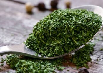 Pare de comprar temperos prontos e tenha uma horta de salsa crespa no vaso