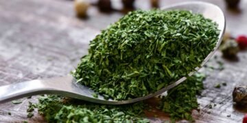 Pare de comprar temperos prontos e tenha uma horta de salsa crespa no vaso