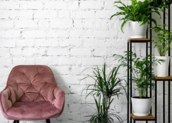 Refresque sua casa no verão com plantas que resistem ao sol e ainda purificam o ar