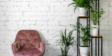 Refresque sua casa no verão com plantas que resistem ao sol e ainda purificam o ar