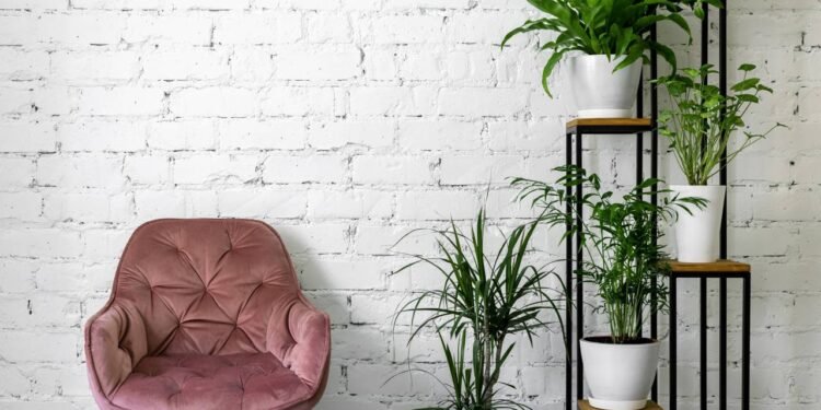 Refresque sua casa no verão com plantas que resistem ao sol e ainda purificam o ar